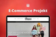Product: Plüsch Onlineshop | ≈ 2.000.000€ Umsatz