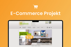 Product: Etablierter Wandbilder-Shop (seit 2010) mit starkem Umsatz