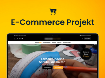Product: Profitabler Online-Shop mit Expertenposition im Sneaker-Bereich
