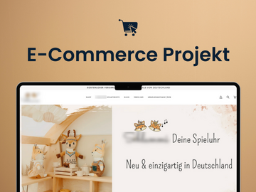 Product: Innovative E-Commerce-Marke im Spielzeugsegment