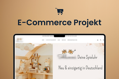 Product: Innovative E-Commerce-Marke im Spielzeugsegment