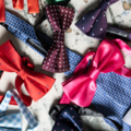 Querbinder/Selbstbinder • Verkauf im Gambio-Shop