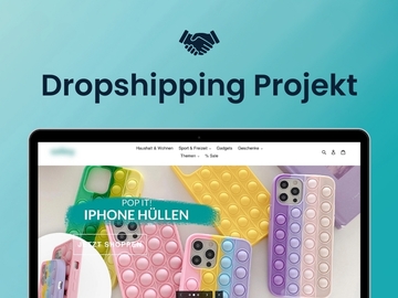 Product: Dropshipping-Store mit organischem Traffic | 91k in 10 Monaten