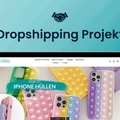 Dropshipping-Store mit organischem Traffic | 91k in 10 Monaten
