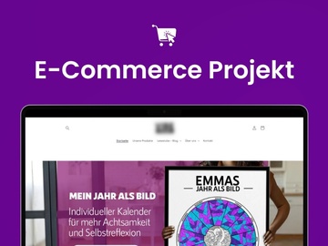 Product: Profitabler Onlineshop für Selbstreflexion (70k Umsatz)