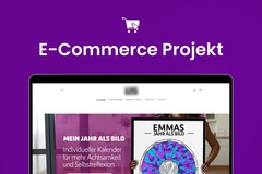 Product: Profitabler Onlineshop für Selbstreflexion (70k Umsatz)